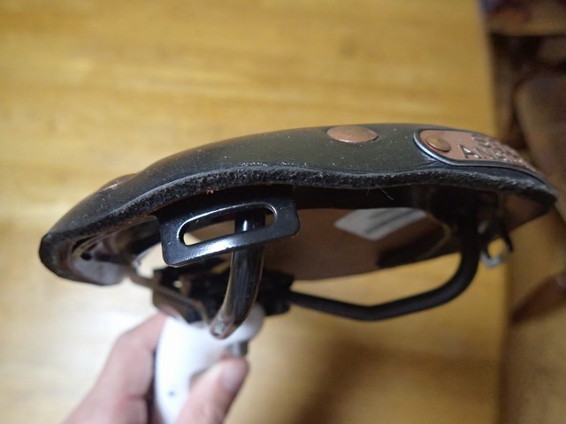 セラ・アナトミカ Selle Anatomica