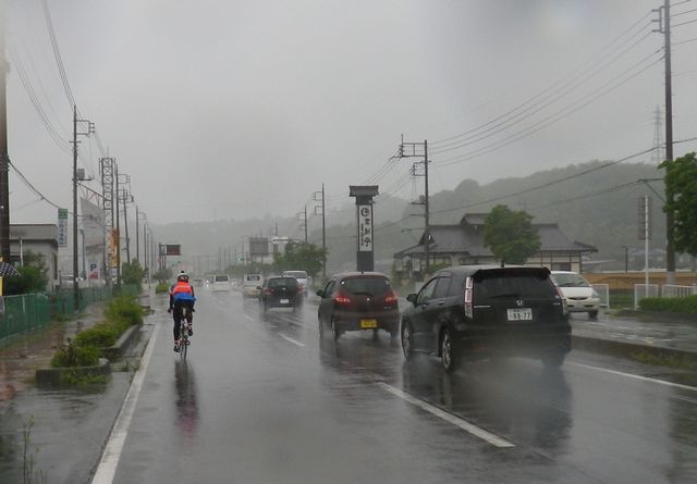 雨のブルベ