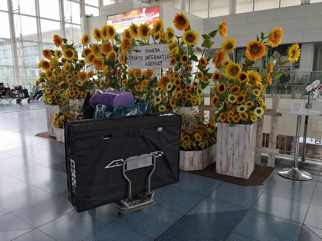 国内・飛行機輪行