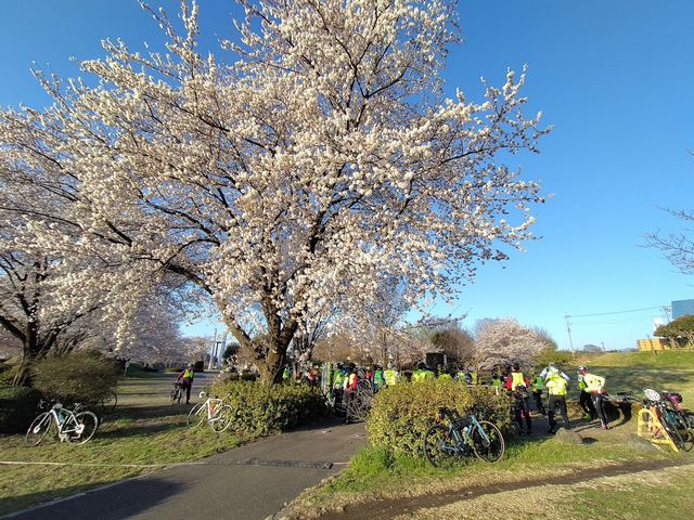 ブリーフィング