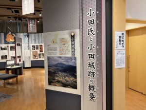 アタック小田城 2019年 BRM120埼玉200km:9時間16分グダグダ完走