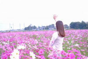 2021年9月開催の「国内ブルベ」:BRM一覧リスト