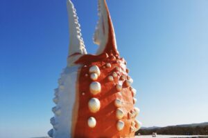 2022年 RM812オホーツク1300km北海道・机上の空論と皮算用